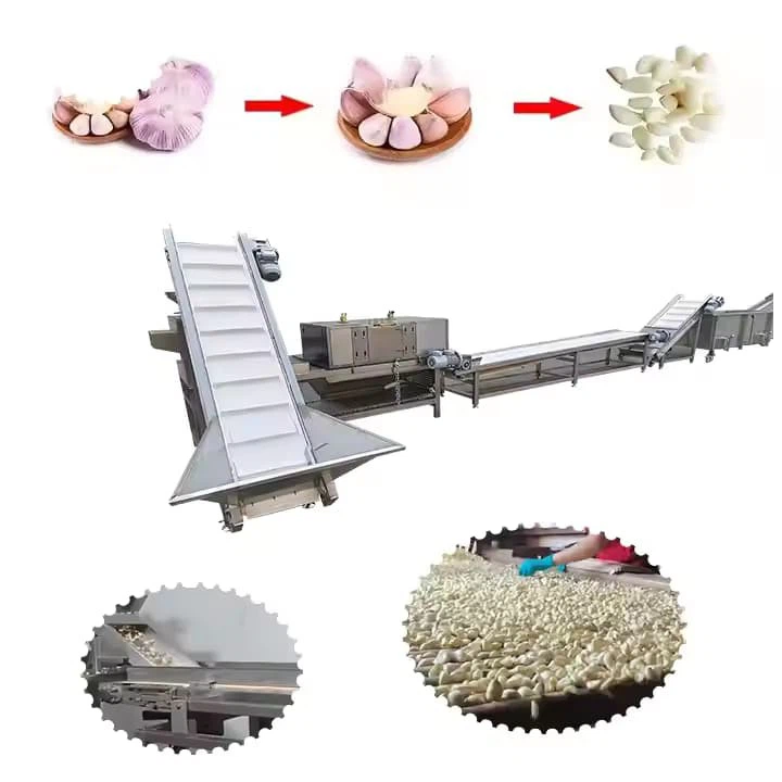China Top Manufacturer Peeled Garlic Production Processing Line Garlic Separating Peeling Garlic Breaking Machine Electric Garlic Peeler