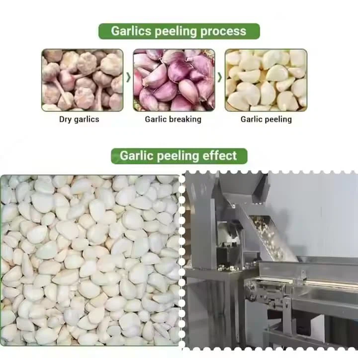 China Top Manufacturer Peeled Garlic Production Processing Line Garlic Separating Peeling Garlic Breaking Machine Electric Garlic Peeler