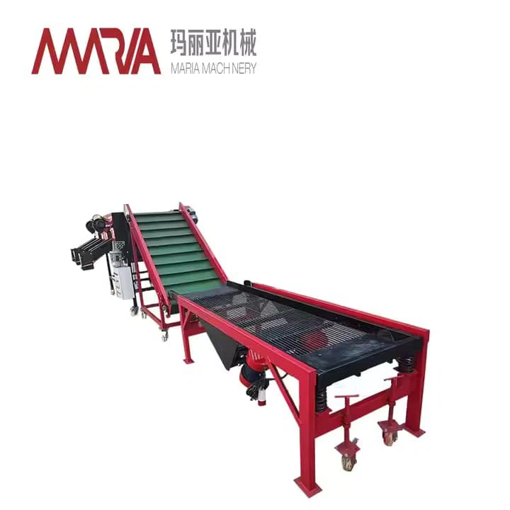 Facoty Supplier Compact Garlic Grading System 220V 380V Household Model Farm To Factory Garlic Sorting Sizer Machine